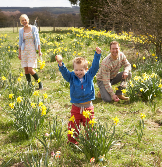 Easter activities in Norfolk Primary Times